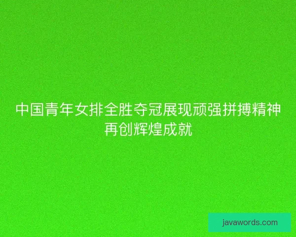 中国青年女排全胜夺冠展现顽强拼搏精神再创辉煌成就